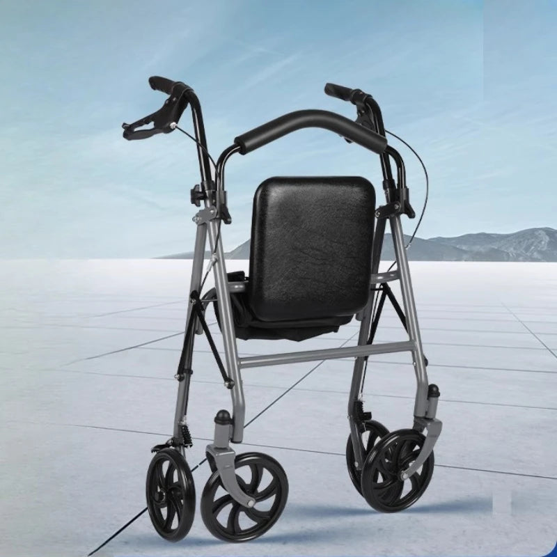 ‌Heavy-Duty Senior Mobility Push Cart.